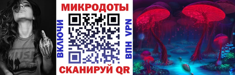 Галлюциногенные грибы Psilocybine cubensis  дарк нет официальный сайт  Ворсма  хочу наркоту 