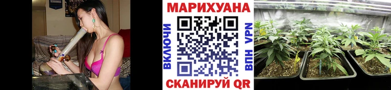 Конопля индика  Ворсма 